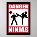 Search for ninja posters Asian