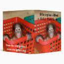 Search for apes binders Animal