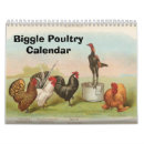 Recherche de poule calendriers Animaux