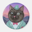 Search for whisker magnets Kitten