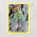 Search for emerging postcards Insect