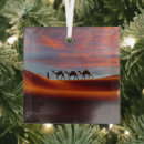 Search for desert ornaments Nature