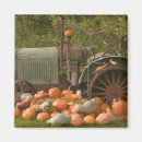 Search for veg magnets Fresh