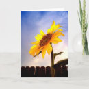 Search for hello summer cards Bright