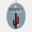 Search for southwest ornaments Cactus