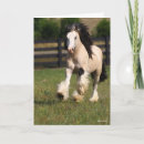 Search for vanner cards Animal