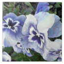 Search for pansy tiles Garden flowers