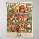 Search for fruit season chart 1732