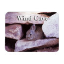 Recherche de rabbit magnets Vacances