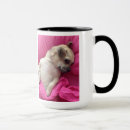 Search for chiwawa mugs Pug