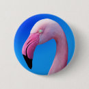 Search for pink flamingo buttons Photography