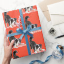 Recherche de colley papier cadeau Collie bore