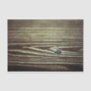 Search for wood texture tissue paper Abstract