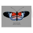 Recherche de papillon tropical vœux cartes Faune
