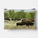 Recherche de le wyoming accessoires Mammifère