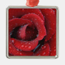 Search for grave ornaments Tomb