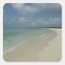 Search for beauty in nature stickers Tropical