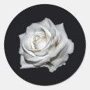 Search for pretty rose stickers Black and white