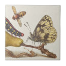 Recherche de mouches carreaux Nature