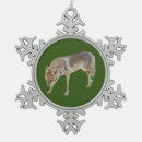 Search for coyote ornaments Nature
