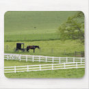 Search for amish electronics Buggy