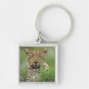 Search for panthera keychains Outdoors
