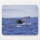 Search for nas mousepads Ocean