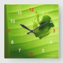 Search for hyla art Frog