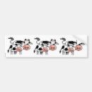 Recherche de veau voiture autocollants Vache