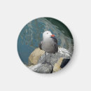 Recherche de mouettes magnets Photographie