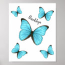 Search for morpho posters Insect