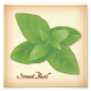 Search for vegetarian posters Herb
