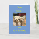 Search for twin sister birthday cards Twins
