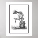 Search for vintage medical skeleton posters Skull