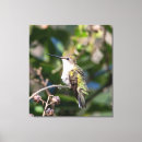 Search for unusual canvas prints Unique