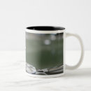 Search for packard mugs Automobile