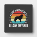 Recherche de belge plaques Chiot