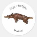 Search for bbq barbeque stickers Pig roast