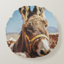 Search for donkey pillows Wildlife
