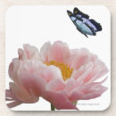 Search for large coasters Pink