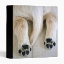 Search for tails binders Dog