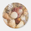 Search for pictures of shells magnets Nautical