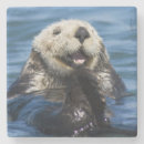 Recherche de loutre dessous de verres Océan