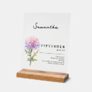 Search for aster Birth month flower