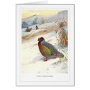 Search for partridges Vintage