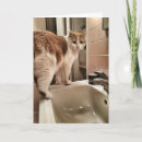 Search for cat lover birthday cards Hilarious