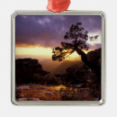Search for southwest ornaments Usa