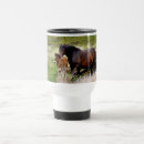 Recherche de jument tasses Mare