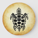 Search for cute tortoise Brown