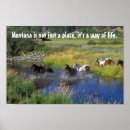 Search for mountain horse posters Mountains